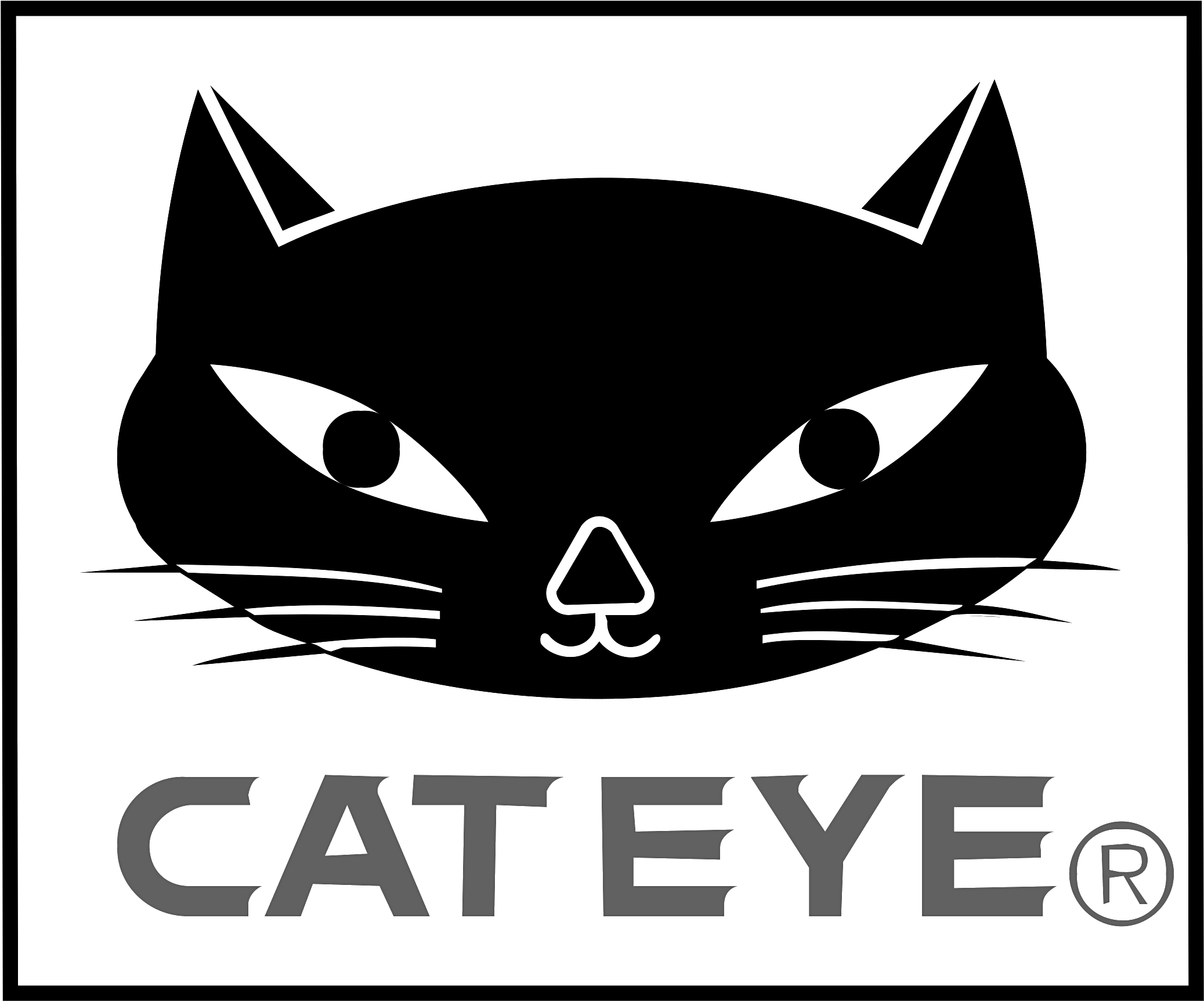 Cat Eyes